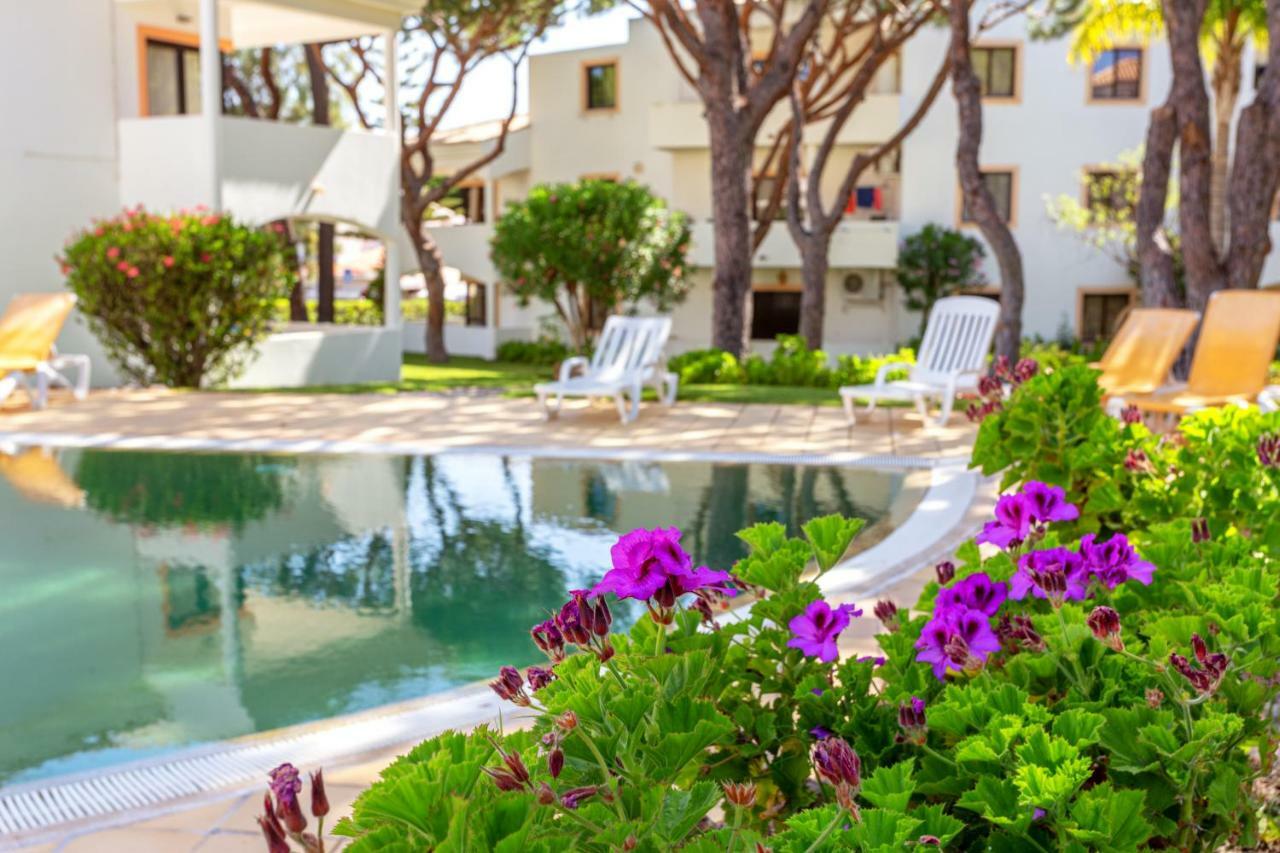 Fresh Sunny Flat With Pool & Terrace By Host Wise